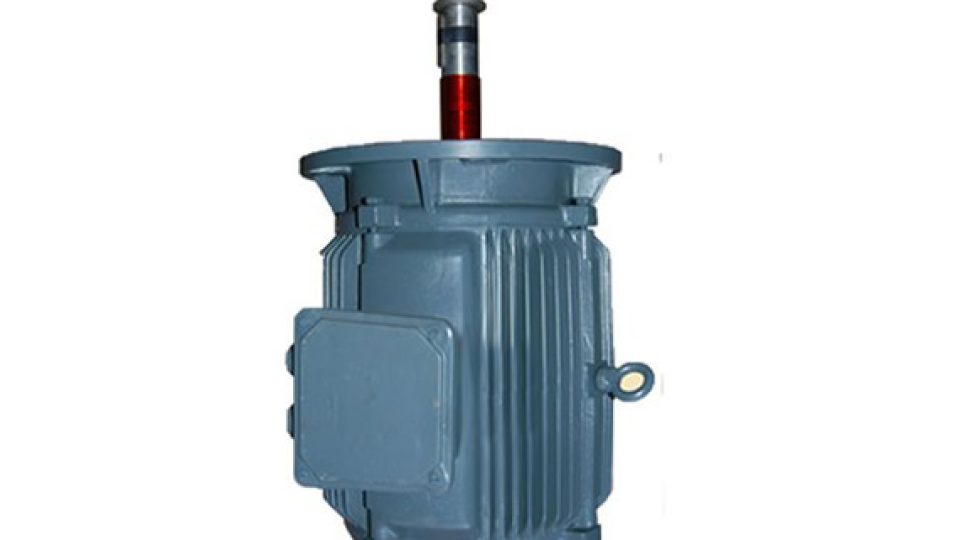 Flange Motor