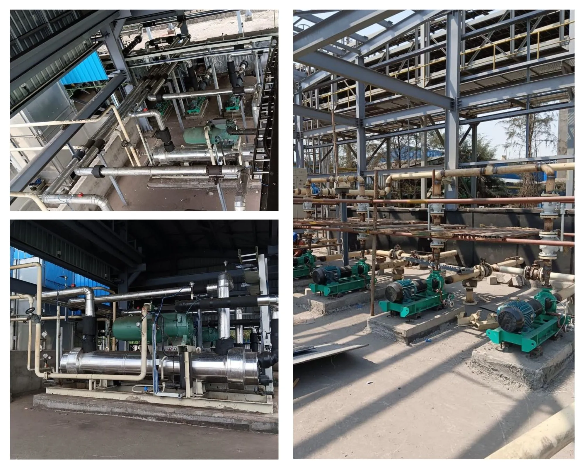 Our Recent Projects Collage